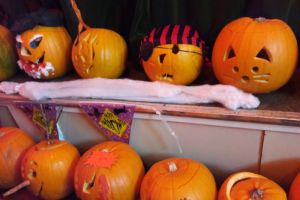 Pumpkins 2017